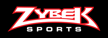 Zybek logo
